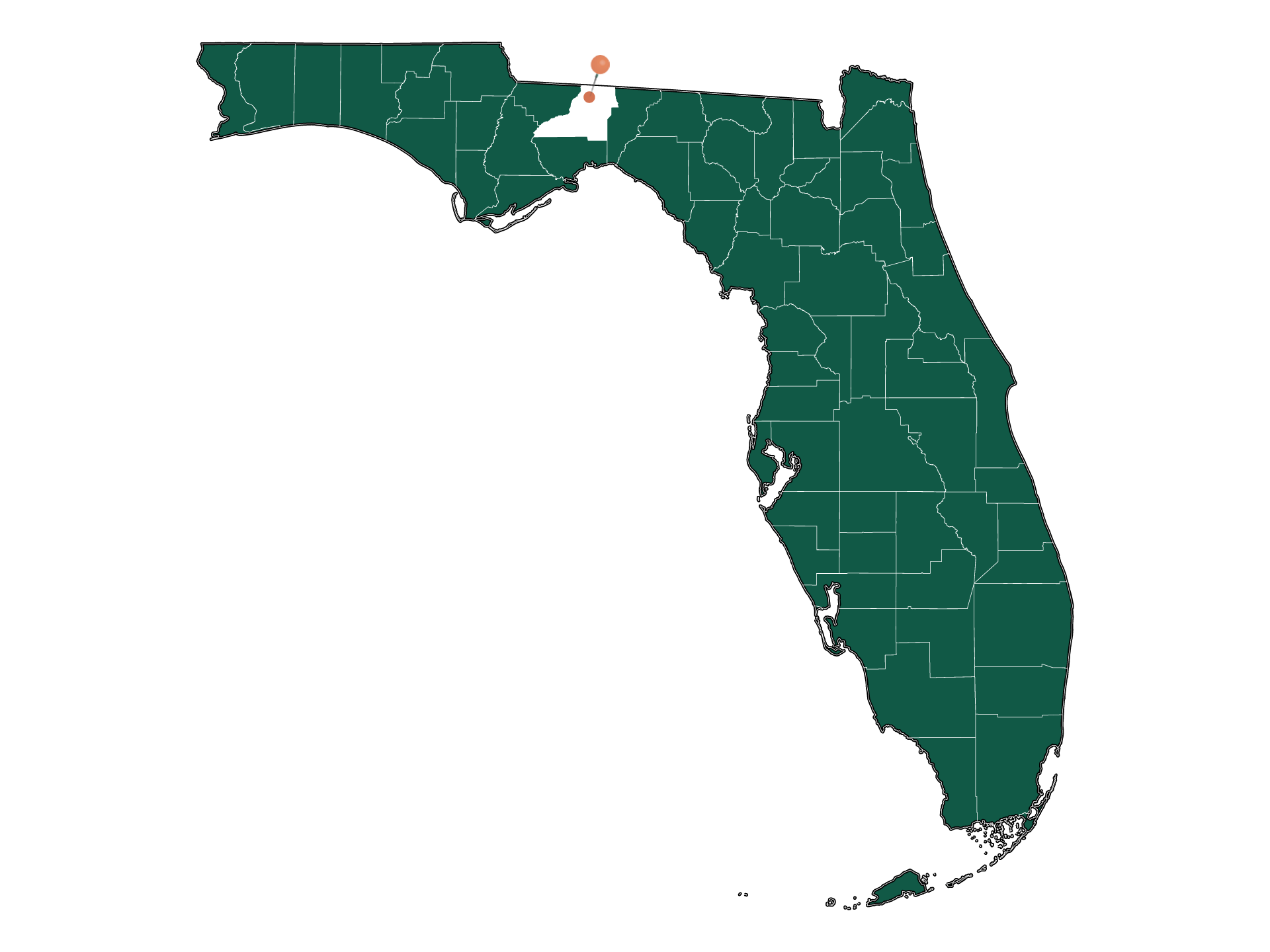 Zip Codes in Northeast Leon, Florida
