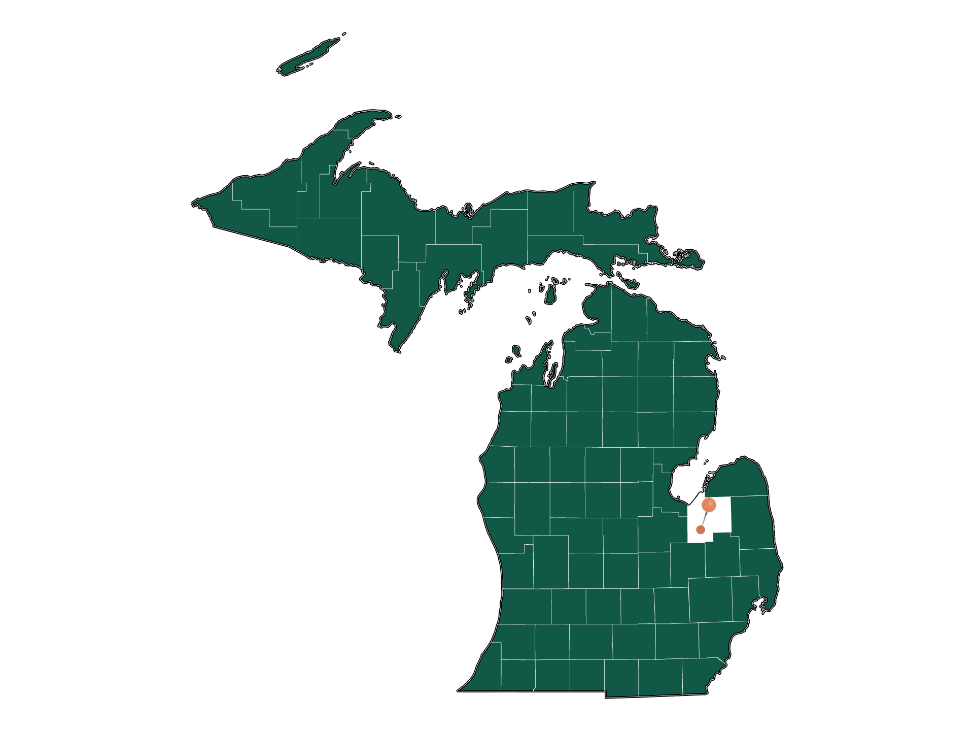 Zip Codes in Vassar township, Michigan