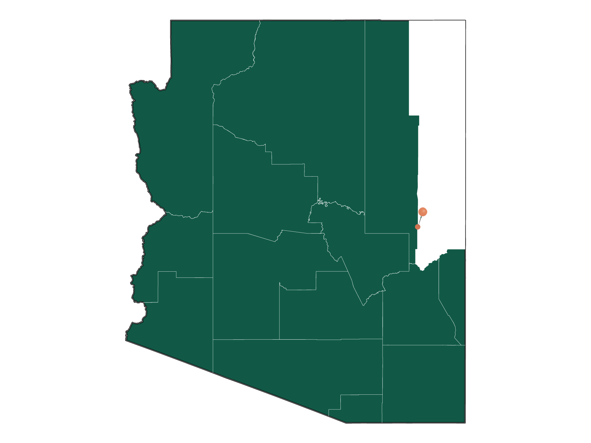 Moving to McNary, Arizona in 2022