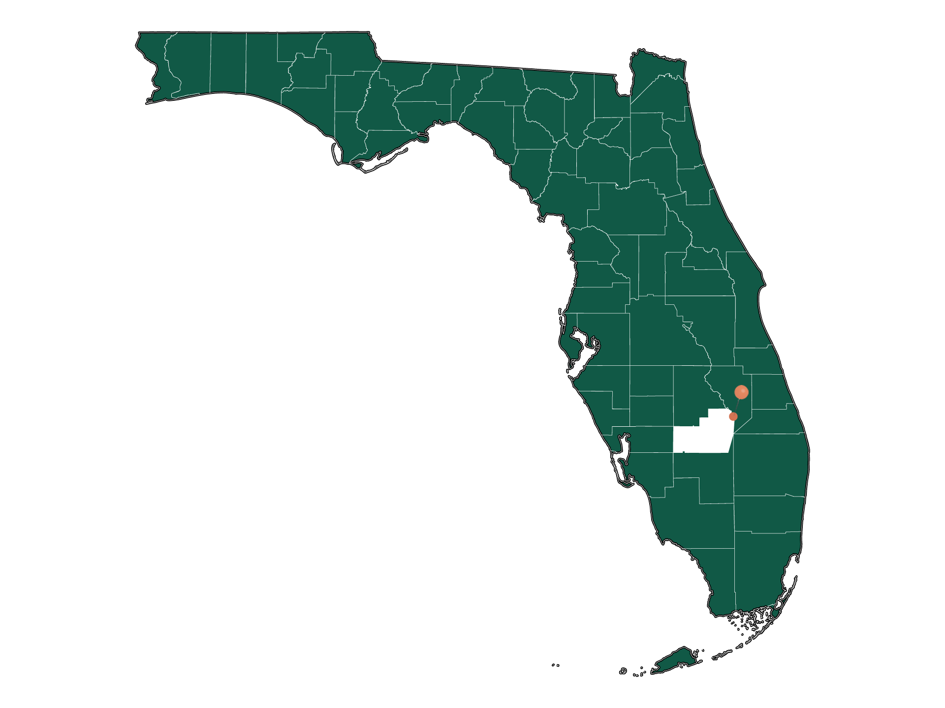 Schools in Buckhead Ridge, Florida (Elementary, Middle и High Schools)