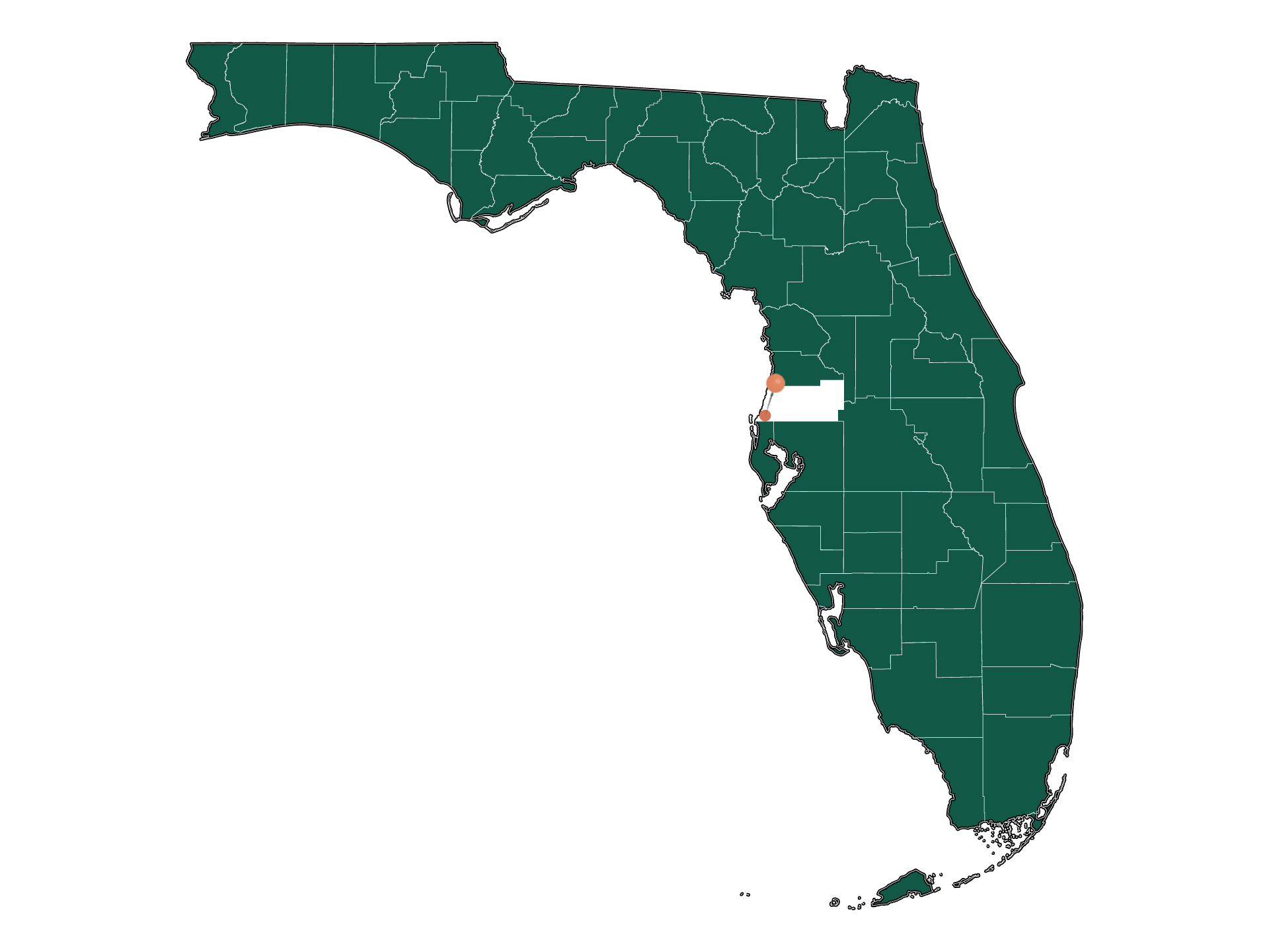 Zip Codes in Elfers, Florida