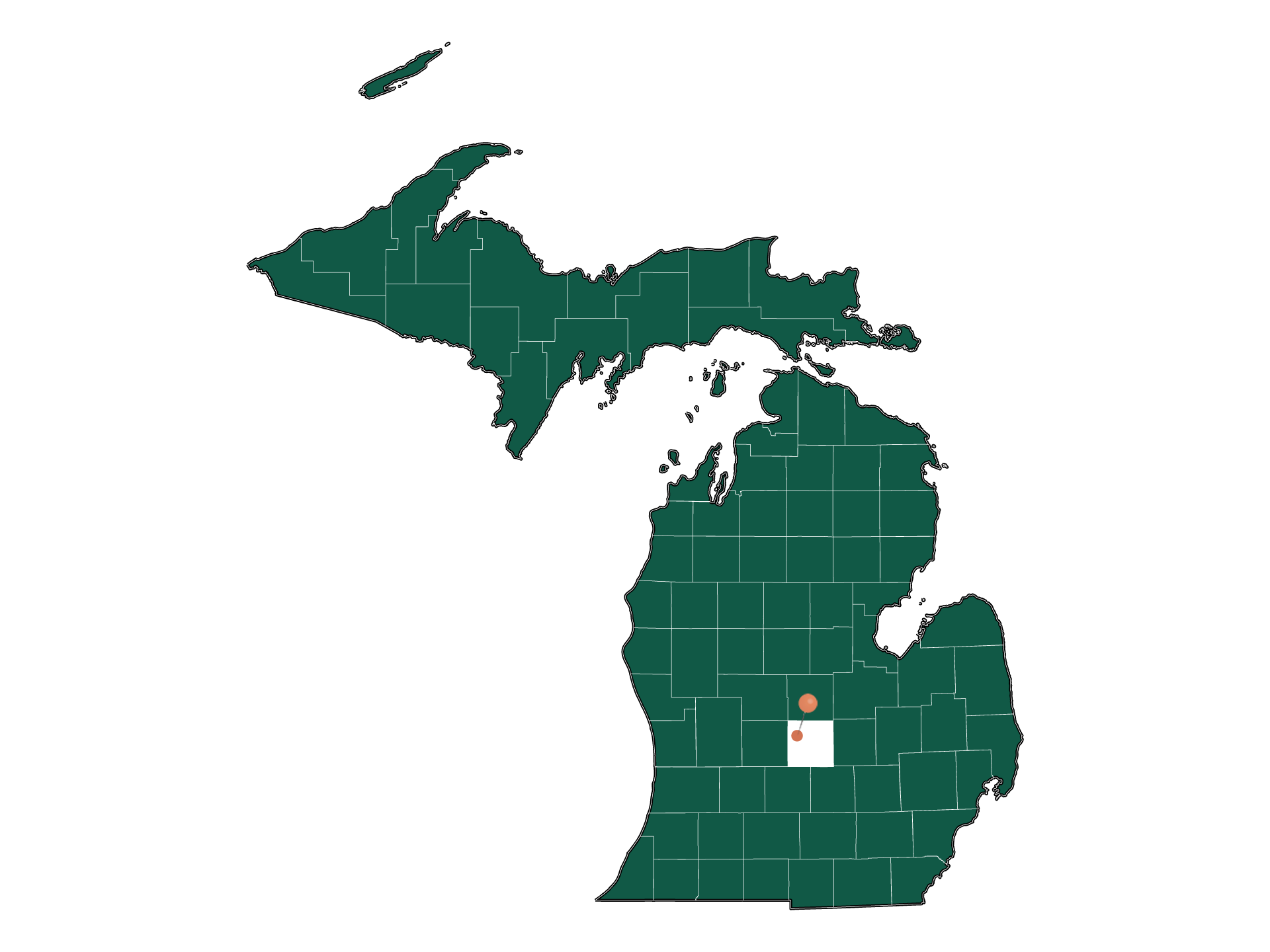 Schools in Fowler, Michigan (Elementary, Middle и High Schools)